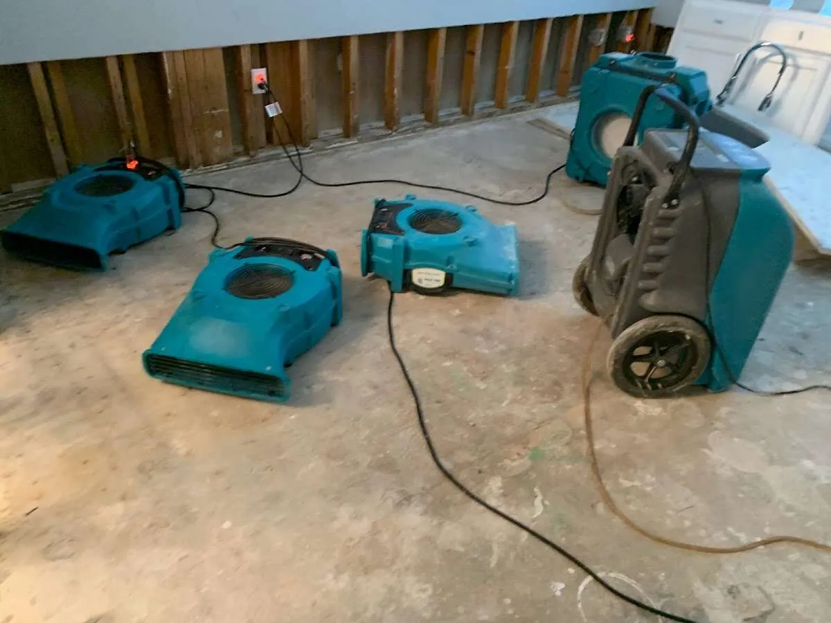 Leak Detection & Repair in Lake Magdalene, FL
